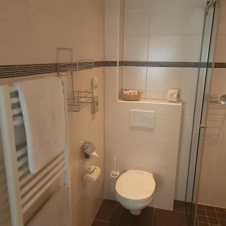 לינה וארוחת בוקר Gruenwaldhof 3*